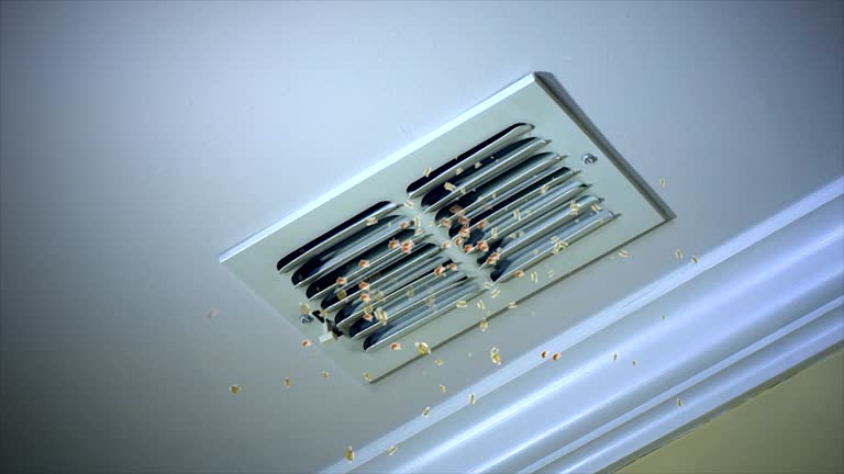 Best HVAC Duct Inspection Services  in Vandergrift, PA